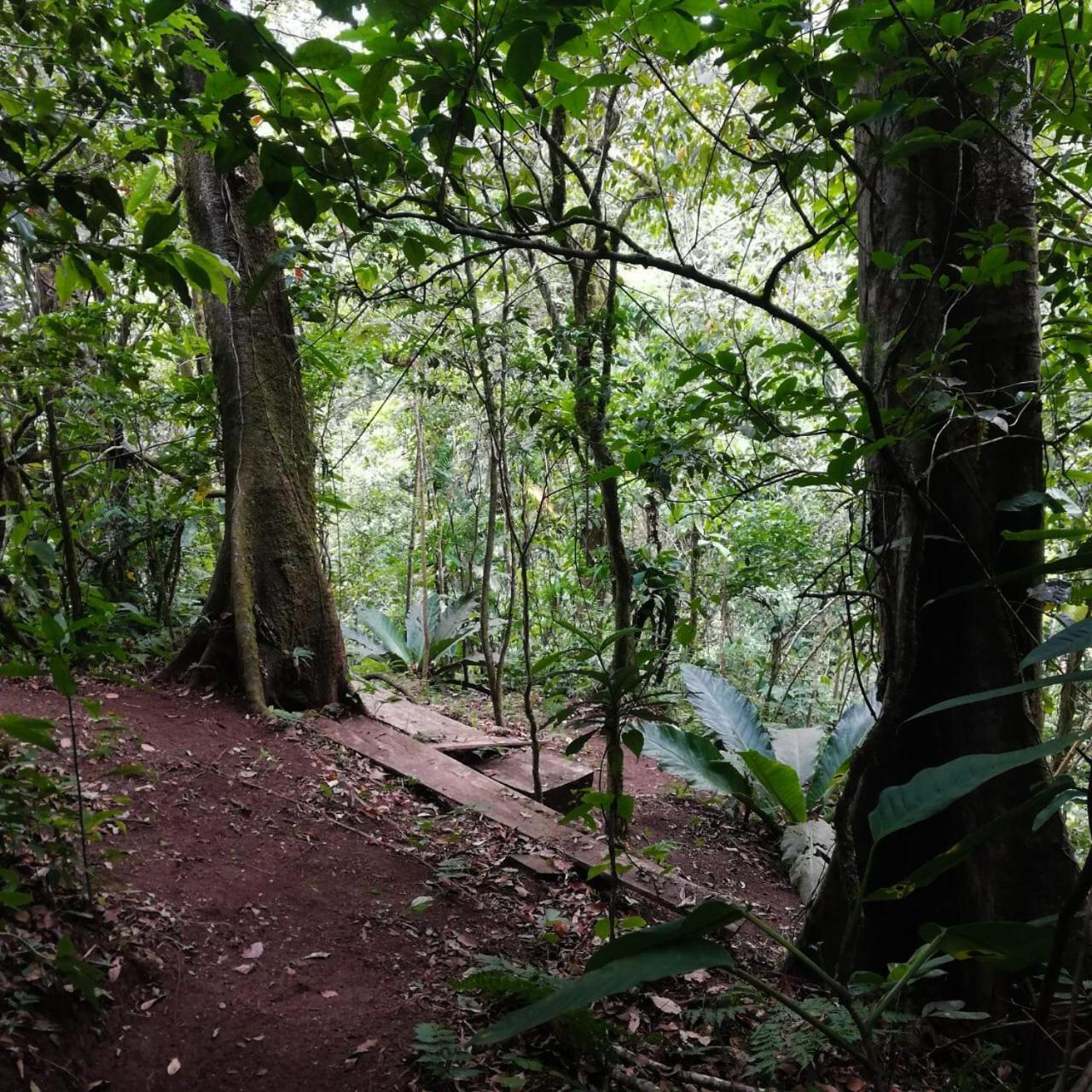 Casa Urraca, Magnifica Vista Al Oceano Pacifico Villa Monteverde Buitenkant foto